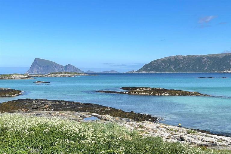Tromsø: Sommarøy Roundtrip Bus Transfer with Arctic Route