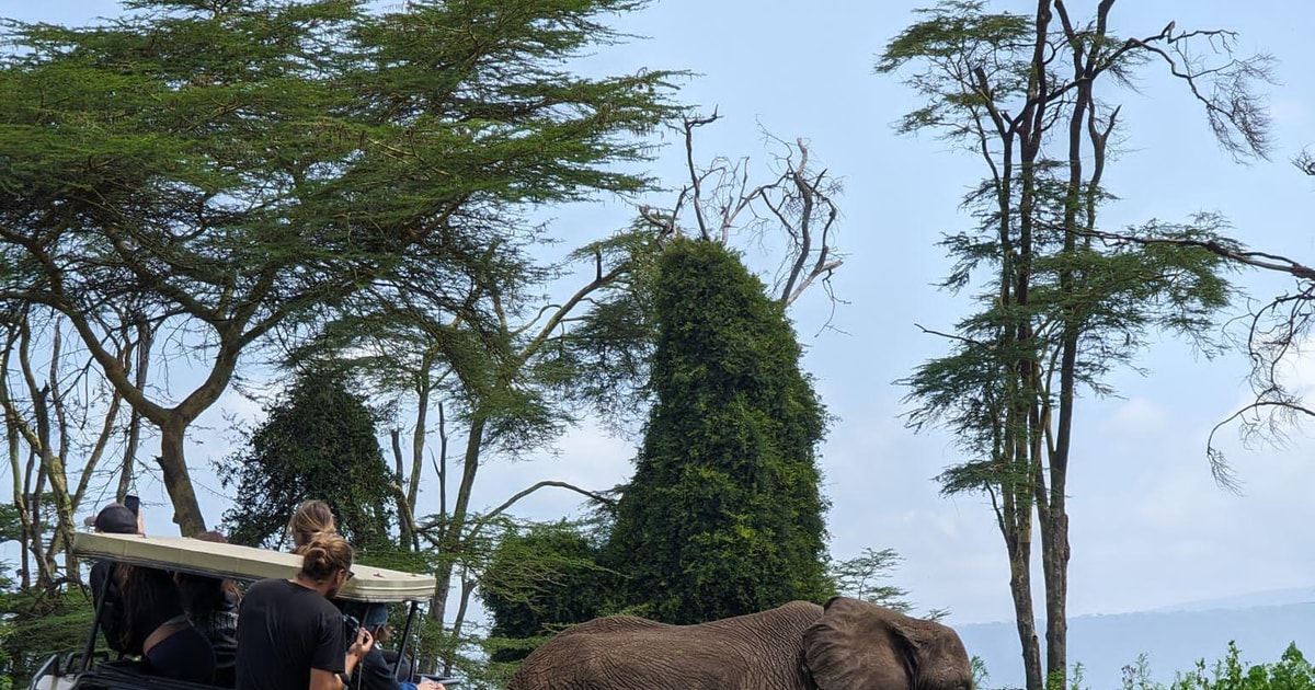 Safari De D As Al Parque De Tarangire Ngorongoro Y Lago Manyara