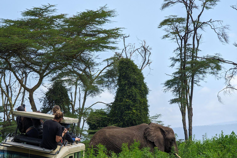 3 Tage Safari zum Tarangire, Ngorongoro und Lake Manyara Park