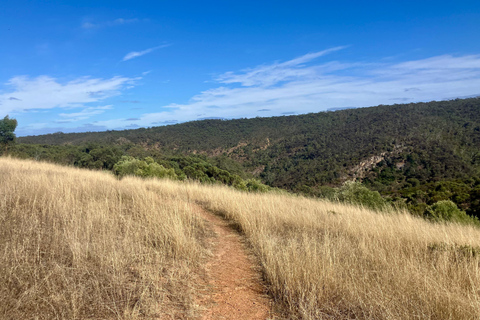 Adelaide: Onkaparinga Gorge Hike, Swim, and Winery Tour
