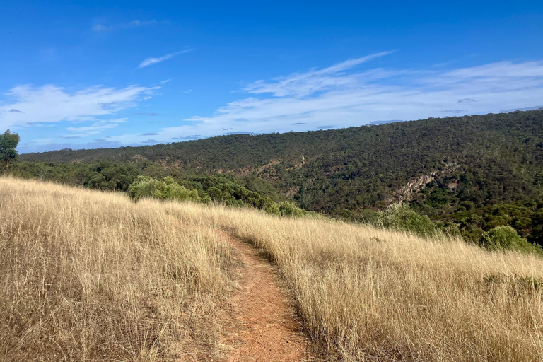 Adelaide: Onkaparinga Gorge Hike, Swim, and Winery Tour