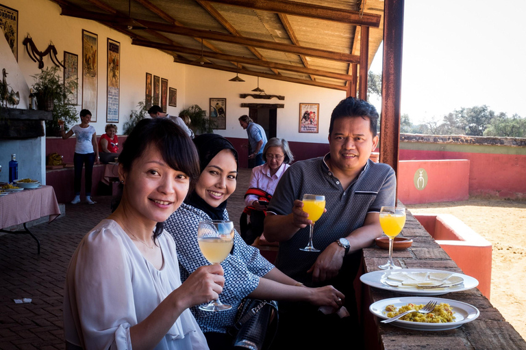 Seville: Bull Ranch, Winery & Rábida Monastery Tour