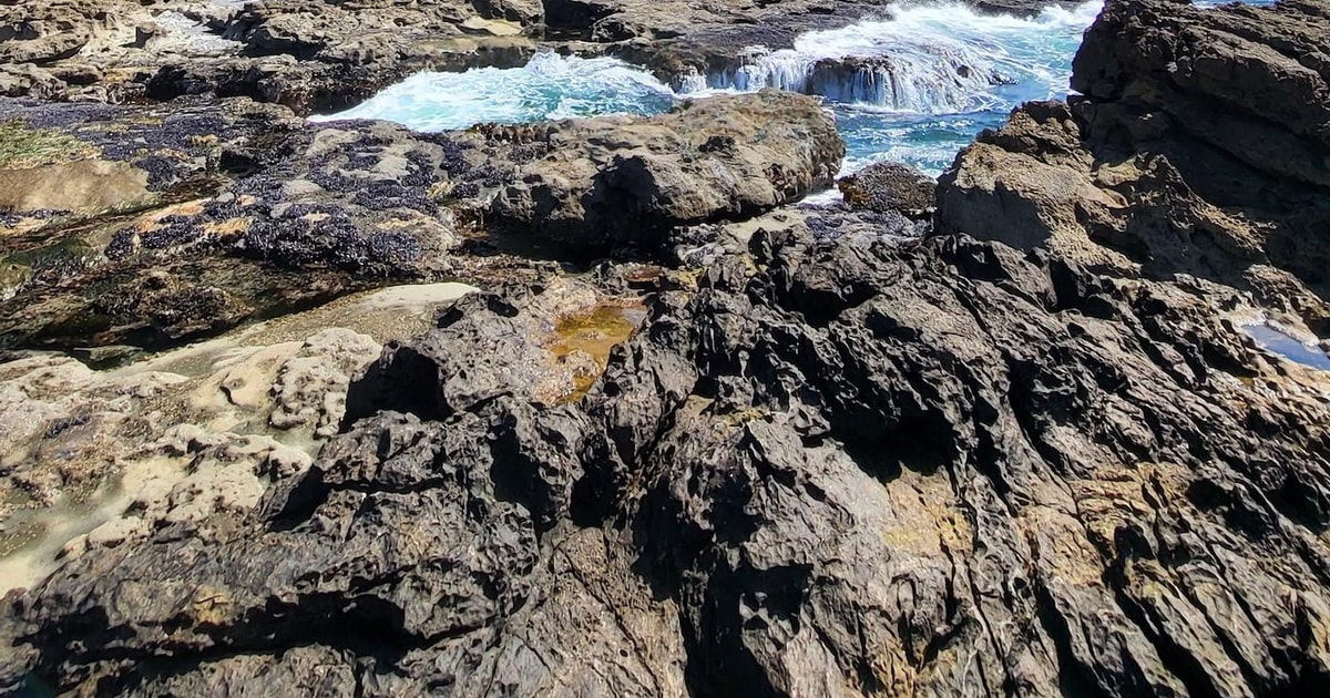 Victoria eller Nanaimo; Västkusten Big Tree Coastal Adventure