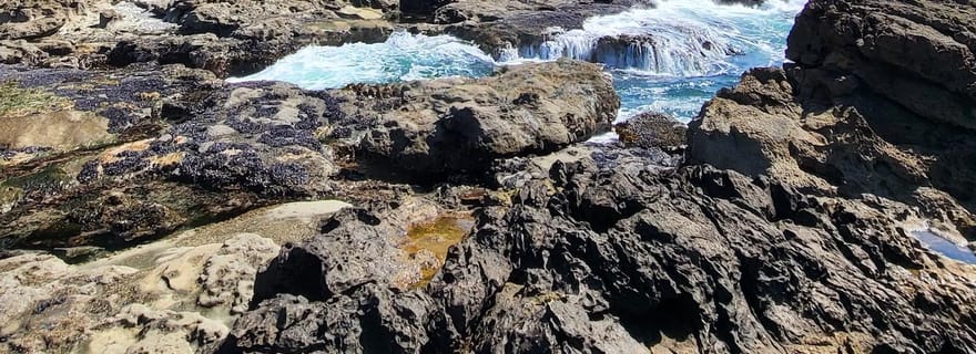 Victoria : Forêt tropicale ancienne, cascade de canyon et plages