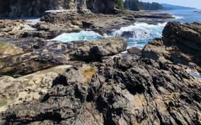 Victoria: Old Growth Rainforest Canyon Waterfall and Beaches