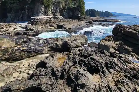 Victoria West Coast Big Tree Coastal Adventure