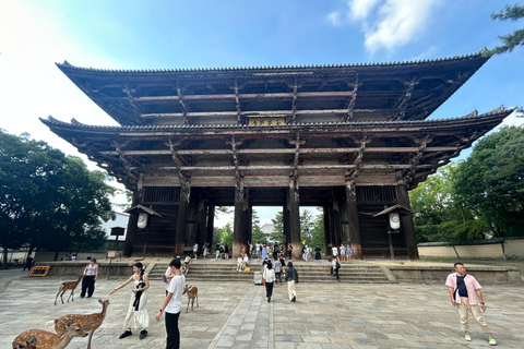 Nara: tour con ciervos, el Gran Buda y demostración de mochi