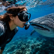 Cebu: Oslob Whale Sharks, Tumalog Falls & Simala