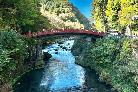 Escursione privata a Nikko: Esplora il patrimonio mondiale del Giappone