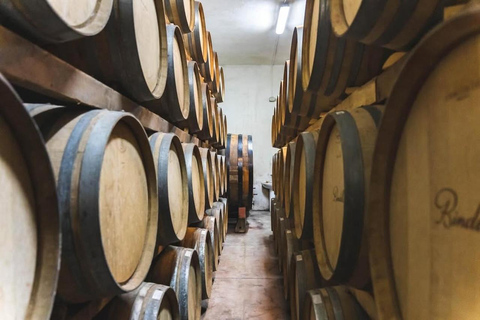 Golem , Durres : Wine Tasting Tour with Hotel Pickup