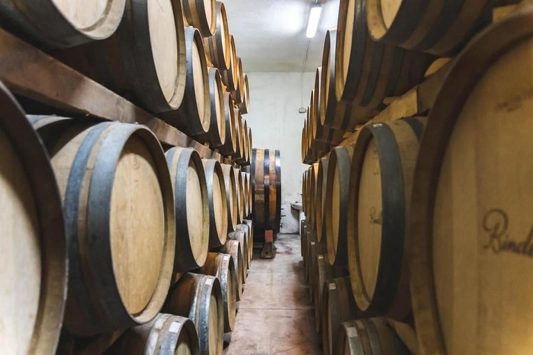 Golem , Durres : Wine Tasting Tour with Hotel Pickup