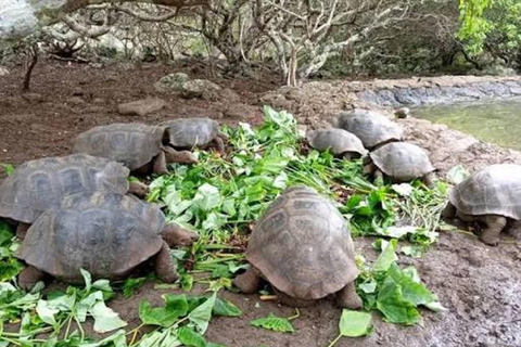 San Cristóbal: El Junco, Galapaguera & Puerto Chino Tour