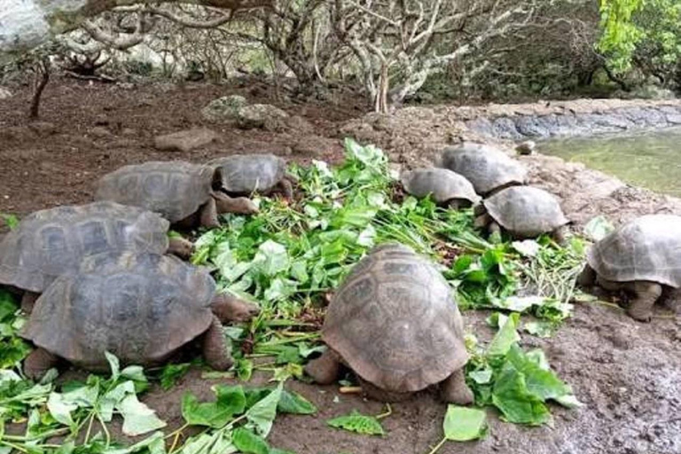San Cristóbal: El Junco, Galapaguera & Puerto Chino Tour