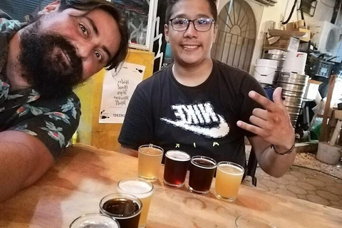 Mexico : visite guidée des brasseries artisanales de La RomaPrivé
