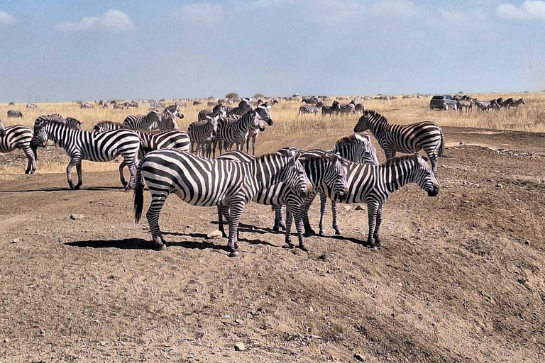 Nairobi: National Park Game Drive mit Abholung vom Hotel