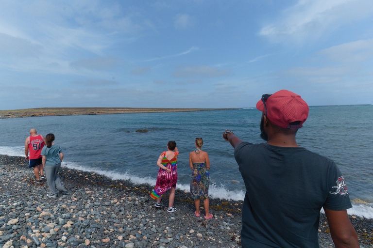 Boa Vista: Snorkeling w zatoce Gatas i wycieczka na północny wschód