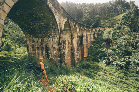 Explore o charme de Ella: Traslado de Tuk Tuk até a Nine Arch Bridge