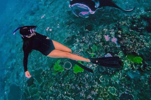 Bali: Nusa Penida Snorkeling and Island Tour with Lunch