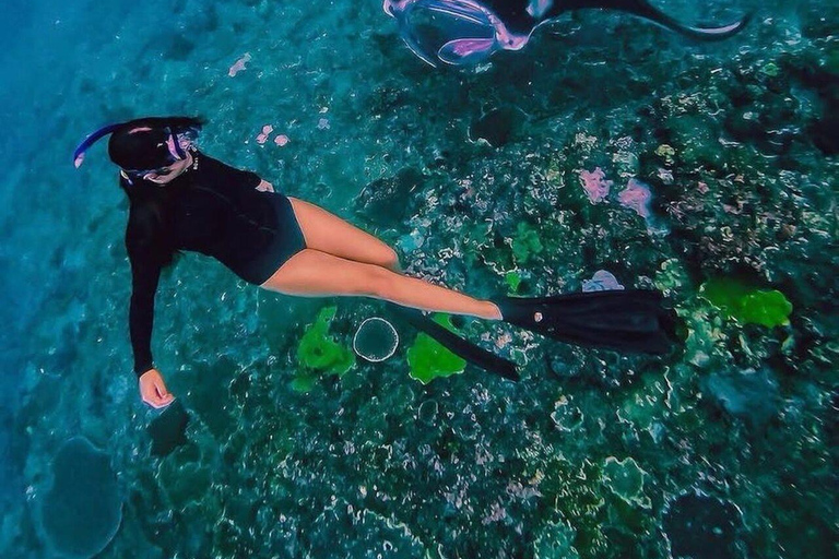 Bali: Nusa Penida Snorkeling and Island Tour with Lunch