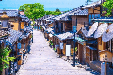 Kyoto Full Day Customizable Private Tour with English Guide