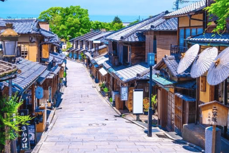Kyoto Full Day Customizable Private Tour with English Guide