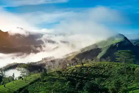 Kochi : 6-Day Tour with Munnar, Thekkady, and Houseboat