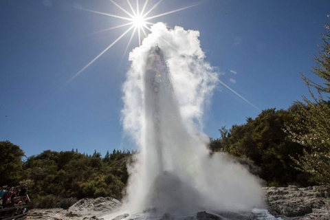 Rotorua: Wai-O-Tapu, Redwoods och Secret Spot på en dagstur