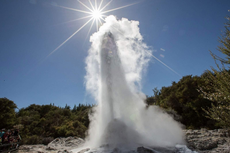 Rotorua : Wai-O-Tapu, Redwoods et Secret Spot, une excursion d'une journée