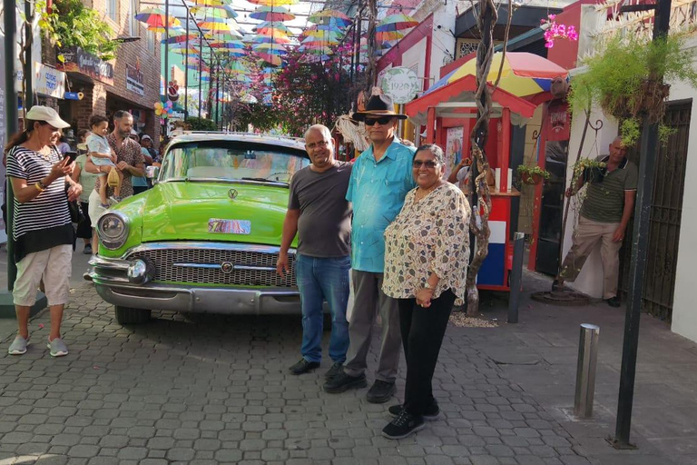 普拉塔港：从泰诺湾/安伯湾出发的猴子之旅和城市之旅普拉塔港：塔伊诺湾/安伯湾的猴子之旅和城市之旅