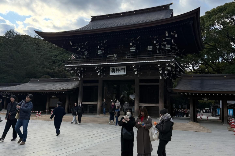 Tokyo Private Luxury City Tour with Professional Guide