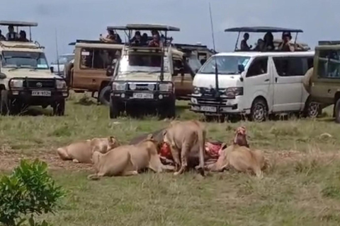 Nairobi National Park Tour:Free airport pick up and drop off