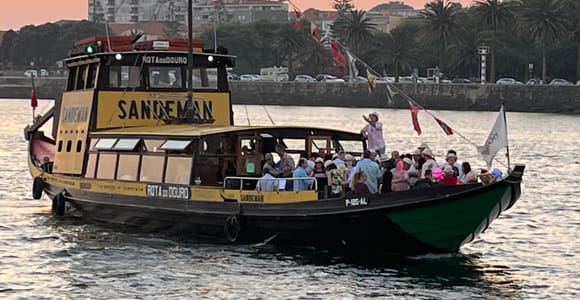 Vila Nova de Gaia: Bruggencruise