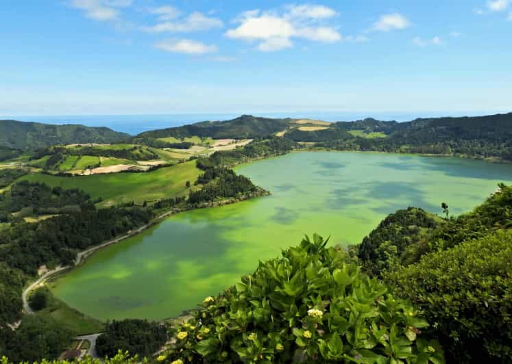 Furnas: Tea Plantations, Lake and Volcano Guided Tour