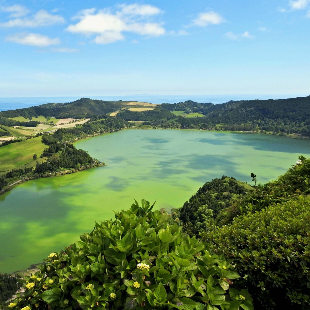 Colagem de mídia