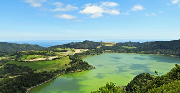 Furnas: Tea Plantations, Lake and Volcano Guided Tour