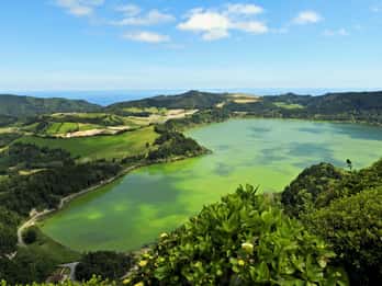 Furnas: Tea Plantations, Lake and Volcano Guided Tour