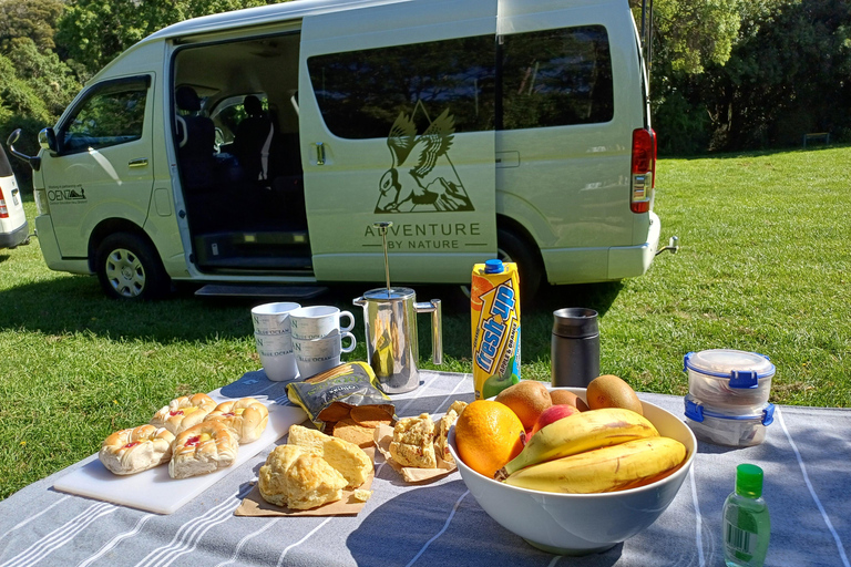 Lyttelton: Akaroa including The Giants House Shore Excursion Small Group Shore Excursion: Akaroa, from Lyttelton