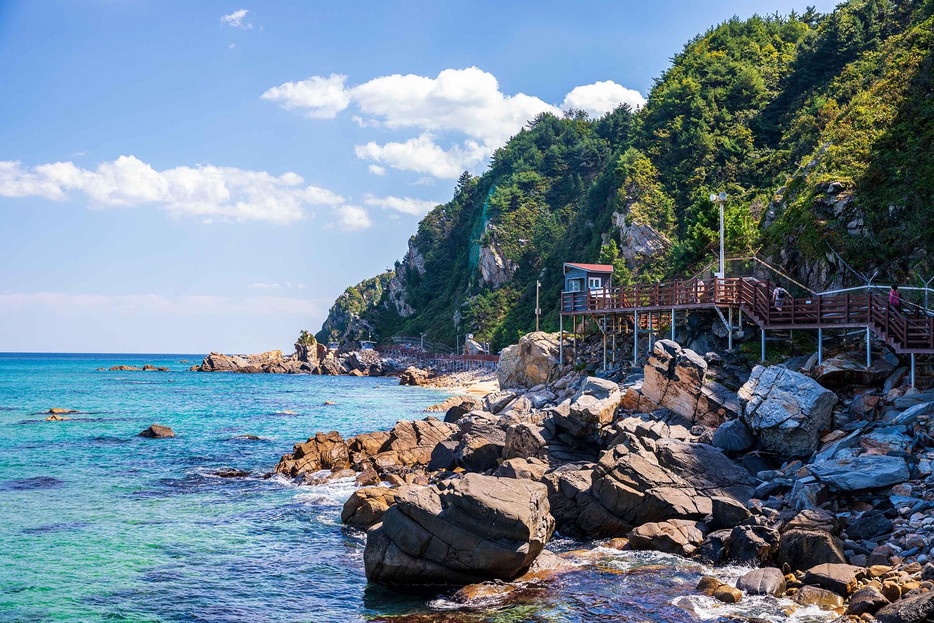 Ab Seoul: Gangneung-Tagestour (optional mit längerem Aufenthalt)
