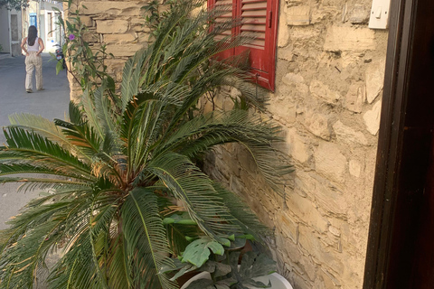 Larnaca hides Gem: Lefkara & Golden Donkey Farm Adventure