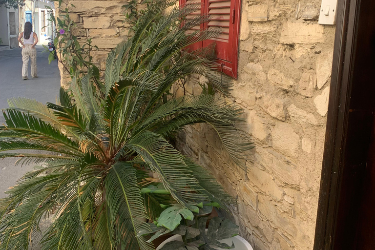 Larnaca hides Gem: Lefkara & Golden Donkey Farm Adventure