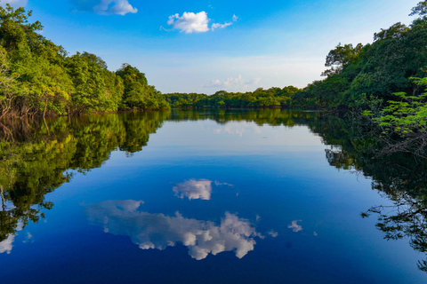 Manaus: Mehrtägiger Amazonas-Survival-Trip mit Camping3 Tage &amp; 2 Nächte Tour