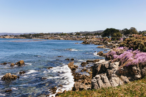 San Francisco: Monterey and Carmel Day Trip w/ 17-Mile Drive From San Francisco: Monterey and Carmel Day Tour