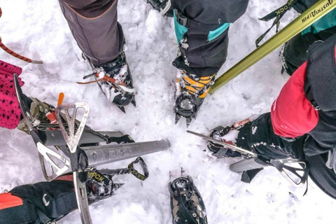 拉巴斯：瓦伊纳波托西 3 天攀登之旅（含认证导游）拉巴斯：瓦伊纳波托西 3 天攀登私人观光