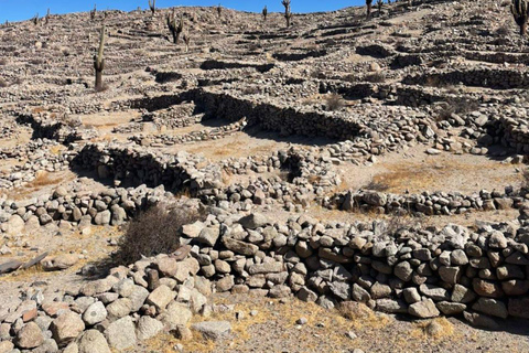 Salta: Movitren: Train to the clouds with transfer in Movitrack MOVITREN: Train + Transfer