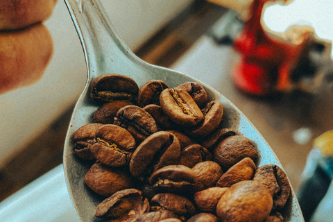 From Naranjo: Specialty Coffee Farm Tour with Tasting
