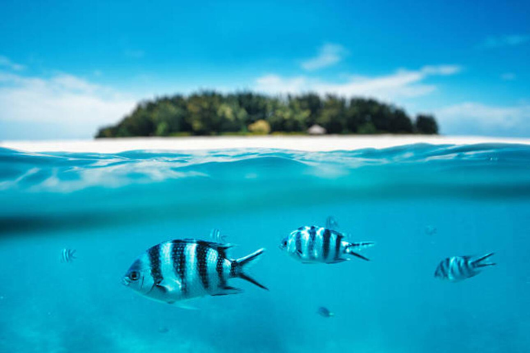 Raj Mnemba; snorkling ze skuterem wodnym z plaży Kendwa