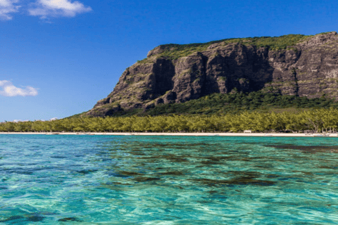 Bateau privé à l&#039;Île aux Bénitiers : Plongée en apnée avec les dauphins et homardBateau privé Île aux Bénitiers : Nage avec les dauphins et homard