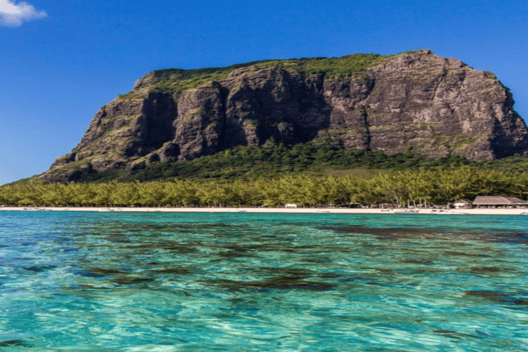 Bateau privé à l&#039;Île aux Bénitiers : Plongée en apnée avec les dauphins et homardBateau privé Île aux Bénitiers : Nage avec les dauphins et homard