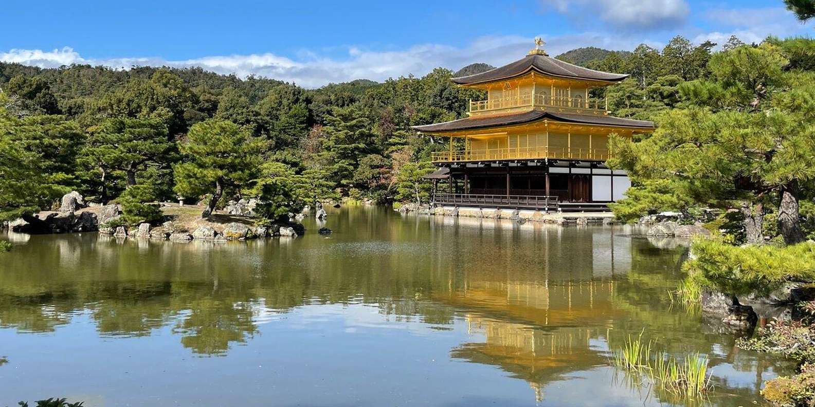 Kyoto: Private Highlights Tour with Guide and Luxury Vehicle