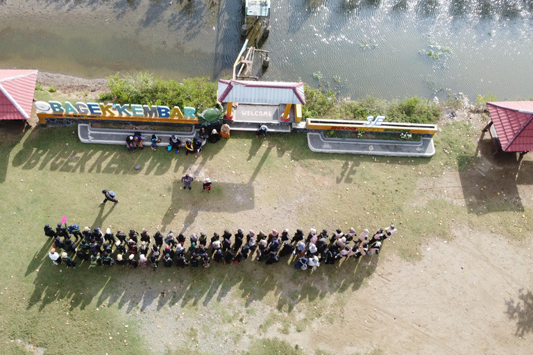 Bagek Kembar: Mangrove & Stingless Beekeeping Experience
